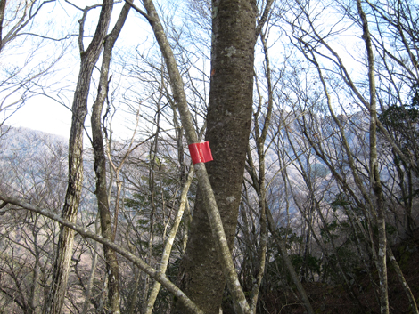 20200110hike (97)
